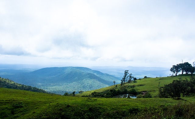 意甲前瞻：主场龙vs客场龙，拉齐奥、博洛尼亚谁将笑到最后